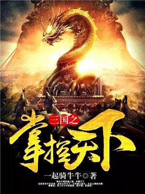 三国之掌握天下
