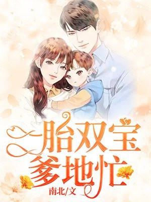 一胎两宝总裁老爹轻一点