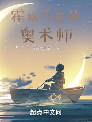 霍格沃兹之术士