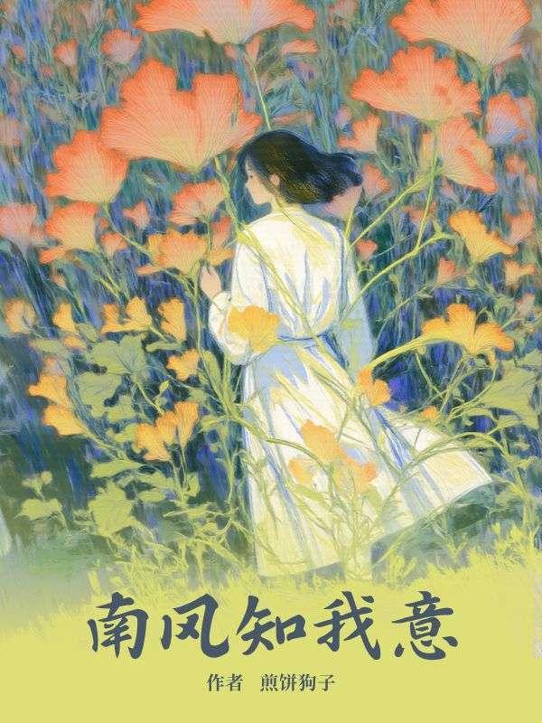 南风知我意电视剧免费