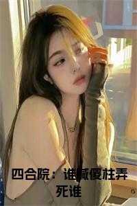 四合院傻柱老婆