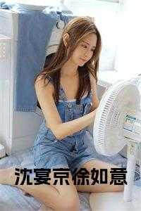 女主角叫沈宴的