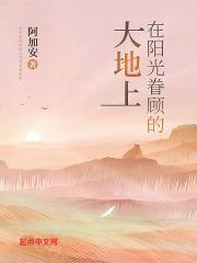 阳光撒在大地上