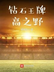 钻石王牌高之野TXT