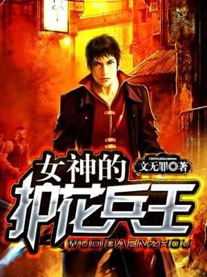 女神的兵王护卫