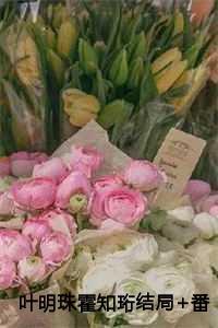 叶明珠是什么电视剧