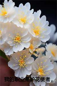 我的职业是护士