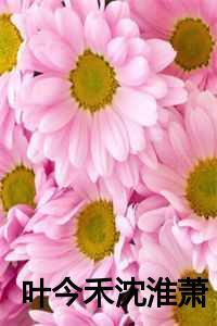 叶今禾沈淮萧最新章节更新了吗