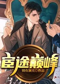 宦途巅峰免费阅读