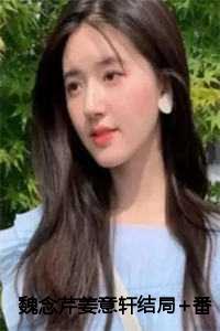 魏念芹警察姜意轩赛车手大结局