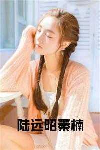 陆远男主