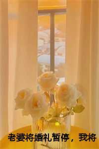 老婆将婚礼暂停我将爱收回气集