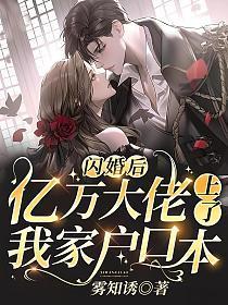 闪婚亿万大老公