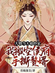 大婚当天被抄家?我搬空侯府手撕赘婿TXT
