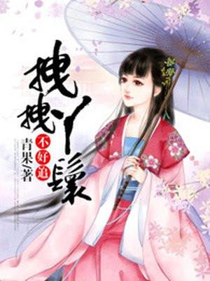 拽拽丫鬟不好追 讲的什么