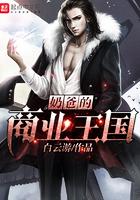 奶爸之商业帝国