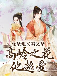 高岭之花茶茶讲的是什么