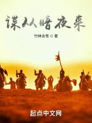 暗夜 谍战在线阅读