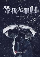 我无罪我蛮夷也