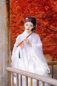 霸总夫人哪里跑