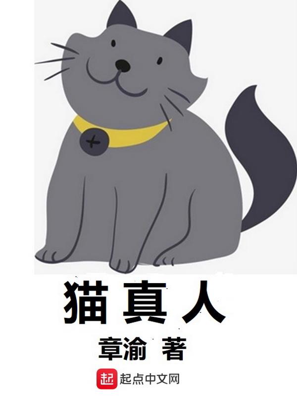 卡布西游熊猫真人