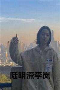 男主叫陆明琛的叫什么名字