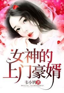 女神的上门豪婿免费版