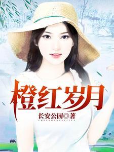 张大帅是什么电视剧