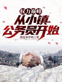 权力巅峰从小镇公务员开始