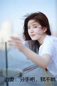 追妻分手吧