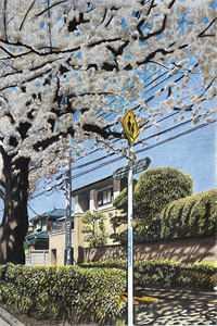 天地法则什么意思