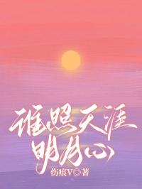 谁照天涯明月心林月瑶