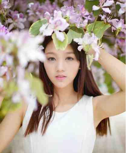 豪门替身欢乐多免费阅读