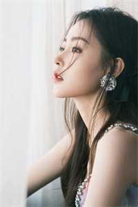 10万一只的狗狗