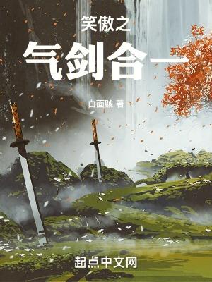笑傲之气剑合一TXT全本