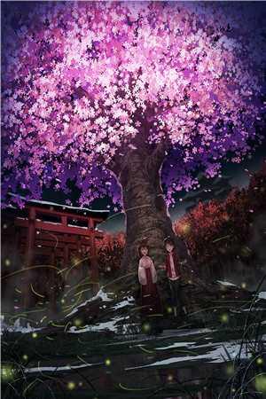 校园男神排行榜