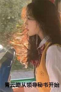 青云之梯权谋官途