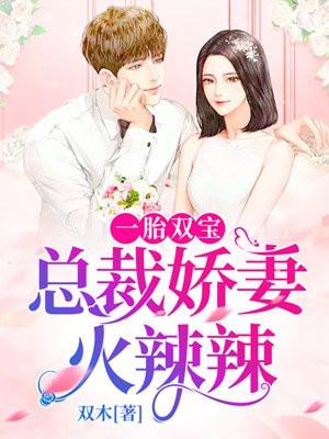 一胎双宝总裁宠妻超给力