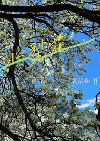 小梨花月明中全文免费阅读