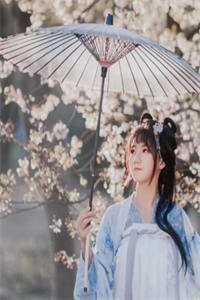 电影甜蜜蜜解说