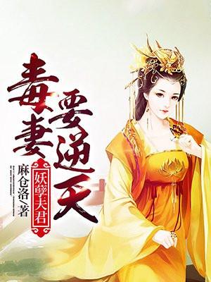 妖孽夫君免费阅读全文