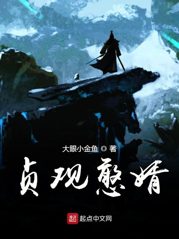 贞观憨婿几个女主