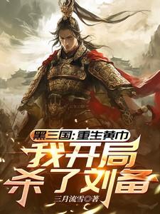 我开局杀了刘备有几个男主角