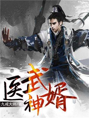 医武神婿第二季