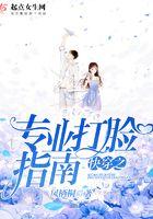 快穿之专业打脸指南安宁