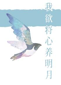 我欲将心养明月txt