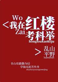 我在红楼考科举番外完结
