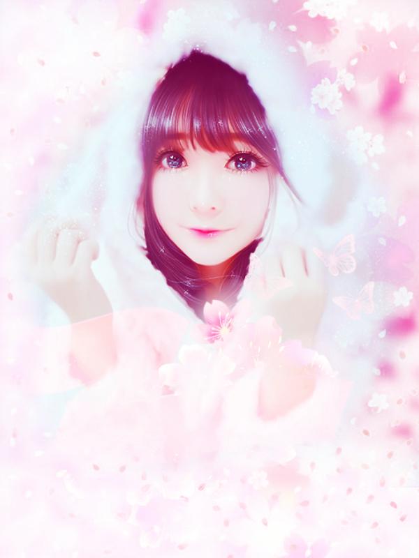 薛娇宋敬西最新章节更新评论和点赞数