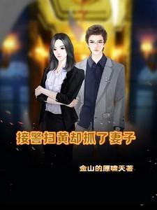 接警扫黄却抓了妻子-第18章