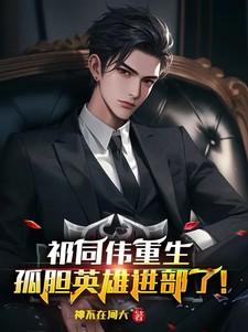 祁同伟重生孤胆英雄进部了!完整版在线